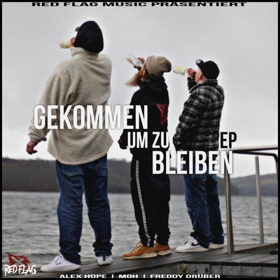 In die Fresse (feat. Alex Hope) - Single