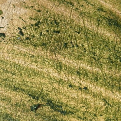 Ti ricordi? - Single