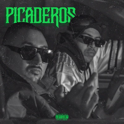 Picaderos - Single