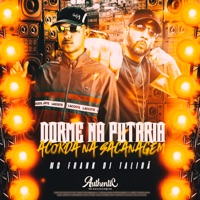 Dorme na Putaria Acorda na Sacanagem - Single - DJ Talibã & Mc Frank