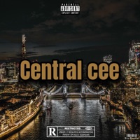 Album cover for Central Cee (feat. mc.r) by Big Bestim