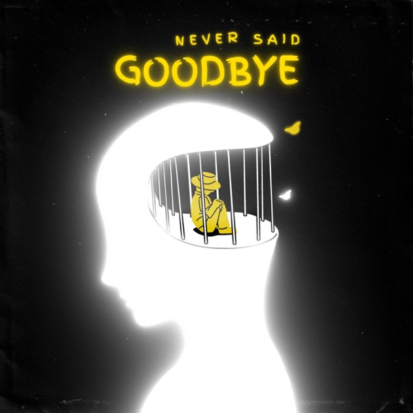 Never Said Goodbye