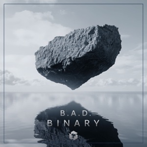 Binary - Single