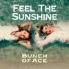 Feel The Sunshine