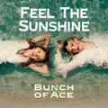 Feel The Sunshine