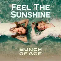 Feel the Sunshine — Bunch of Ace
