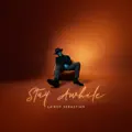 Stay Awhile