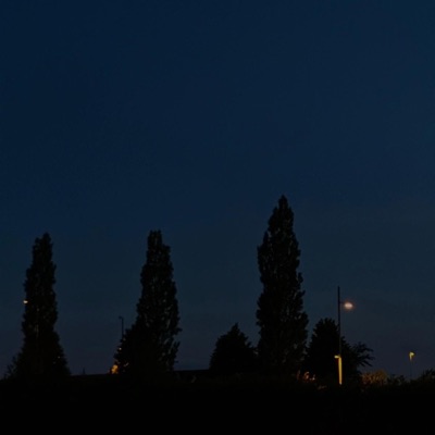 we always were so free - Single