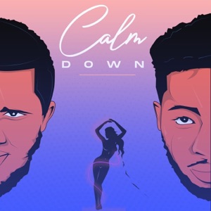 Calm Down (feat. Moezi)