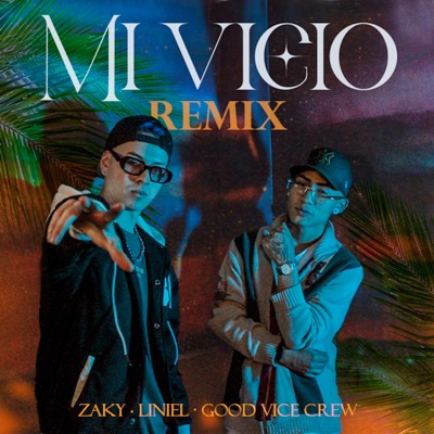 Mi Vicio (Remix) - Single