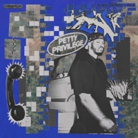Petty Privilege - Single - André DeSaint & Rios