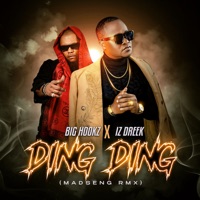 Ding Ding (Madseng Remix) - Single - Big Hookz