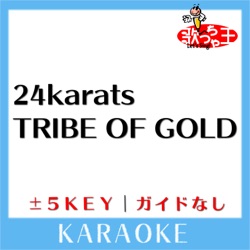 24karats TRIBE OF GOLD +2Key Karaoke No Guide melody Originally Performed By EXILE TRIBE