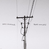 The Beauty in Ordinary Things - Red Licorice & Tape Noises