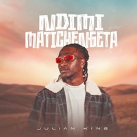 Ndimi matichengeta - Single - Julian King