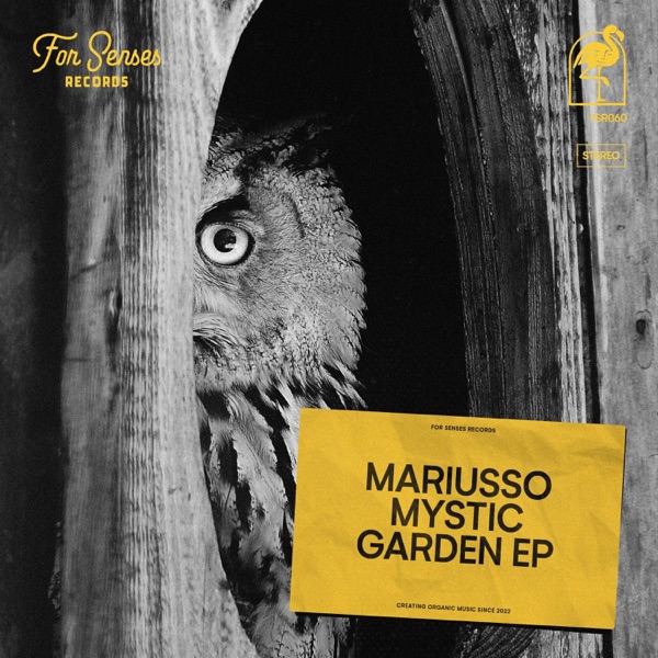 Mystic Garden - Single