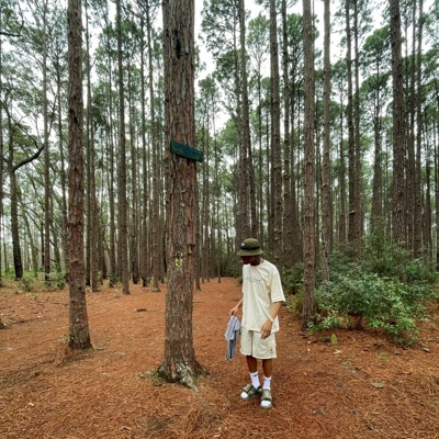Duvido - Single