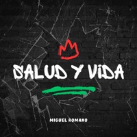 Salud y Vida - Single - Miguel Romano