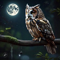 Azawana - Single - Azzi On The Beat