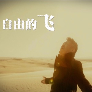 自由的飞 - Single