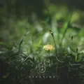 Clearing