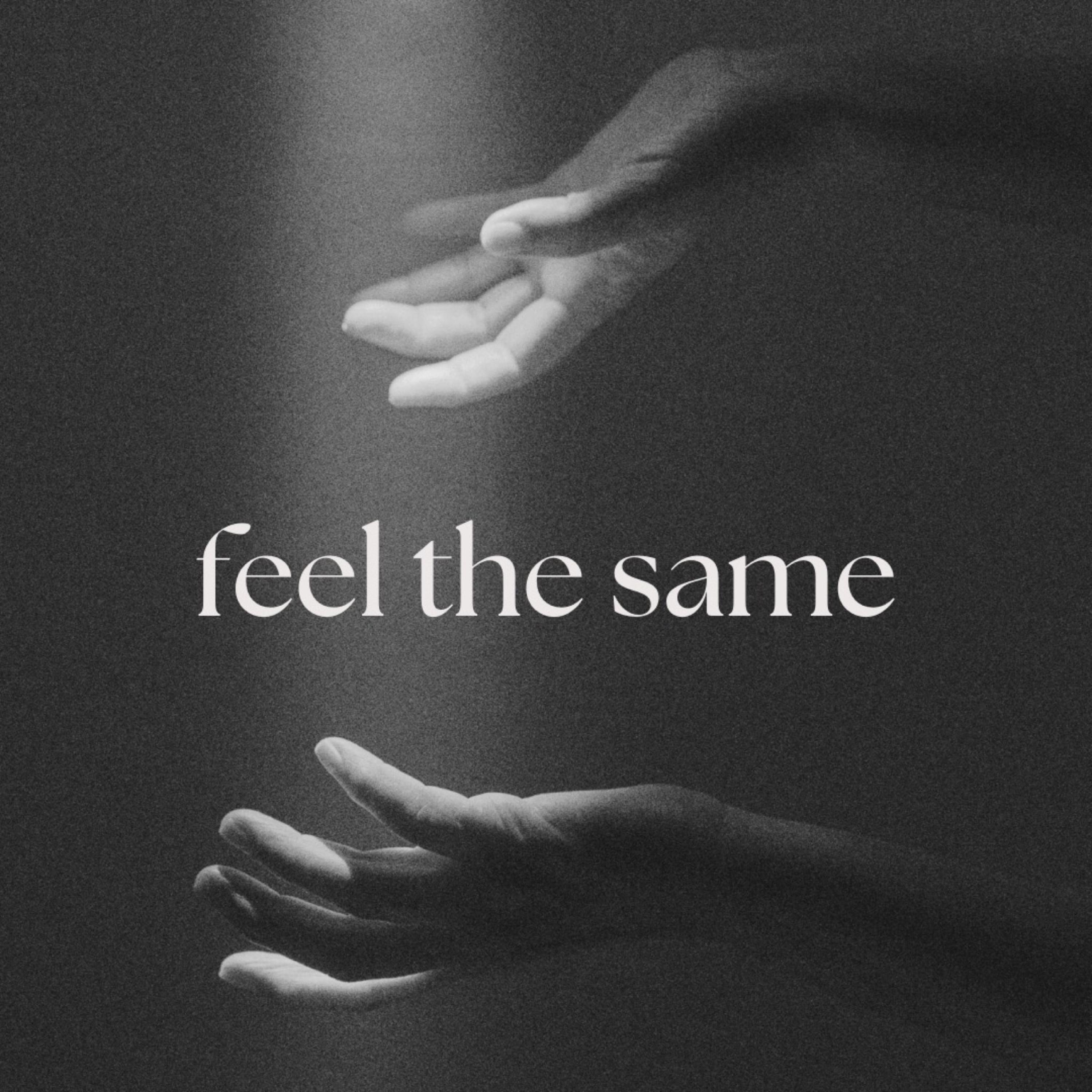 Feel The Same - Single