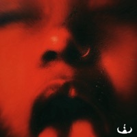 Sentir - Single - WEVLTH