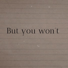But You Won't (Interlude) Lilx Brxaker