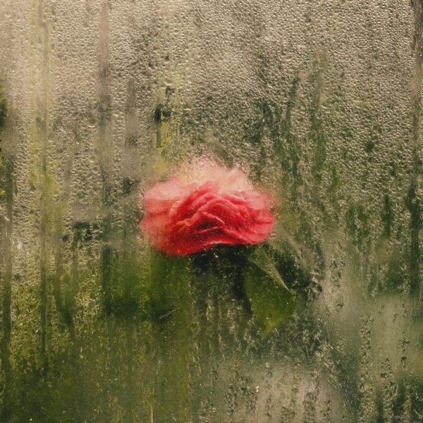 spring rain
