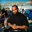 Party In the Hood - Single
