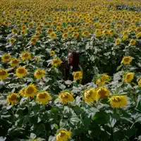 Be My Love — NESTA
