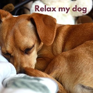 Dog Chill (Loopable, No Fade)
