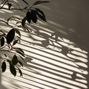 Faded Shade