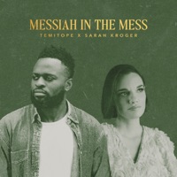 MESSIAH IN THE MESS - Single - TEMITOPE