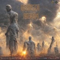 REBIRTH RIDDIM (INSTRUMENTAL) - Single - DAMOO BEATZ