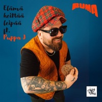 Elämä heittää leipää (feat. Puppa J) - Single - Ruma