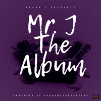 Mr. J the Album - Mr. j 408
