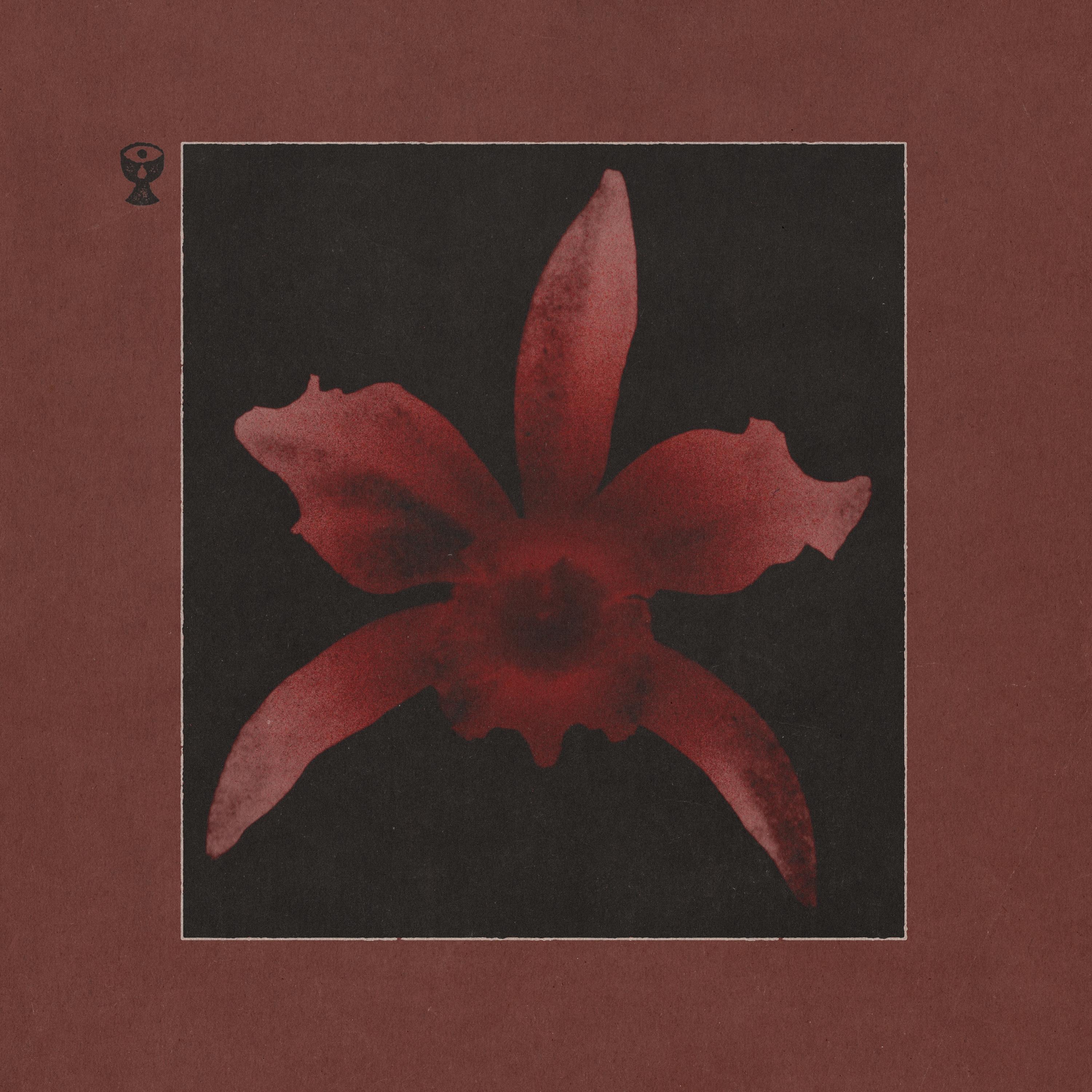 Punkty Płonące - Single