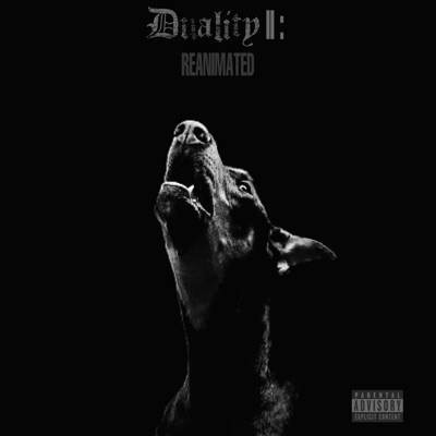 Duality II: Reanimated