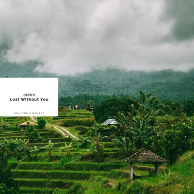 Lost Without You - Single
