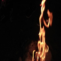 RnB on - Single - Yaddida Page