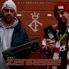 Zeitreise (feat. Robert Menn) - Single