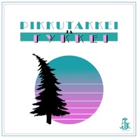 Pikkutakkei ja tykkei - Single - Lollari5000