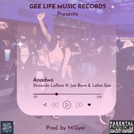 ANADWO (SUN CITY) (feat. Jae Bone & Lahm Gee) Shmurda laflare