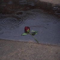 płonęły róże dla ciebie - Single - thug