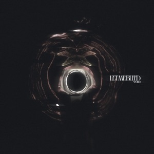 Void - Single