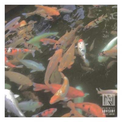 b4 auditory illusions