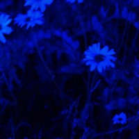 Waiting (feat. Nia Nadurata) - Single - Noche