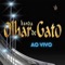 Olá (AO VIVO) - BANDA OLHAR DE GATO lyrics