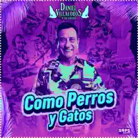 COMO PERROS Y GATOS — DANIEL VILLALOBOS Y SU GRUPO